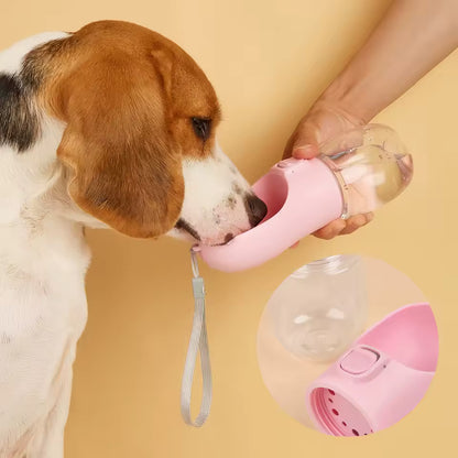 dog water bottle