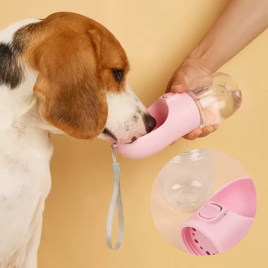 dog water bottle